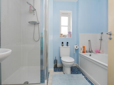 Picture 12